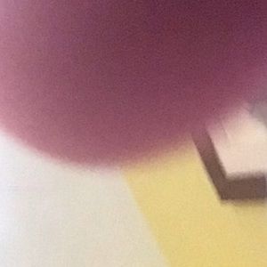 Meet your Posher, Annette